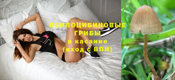 хмурый Вязники